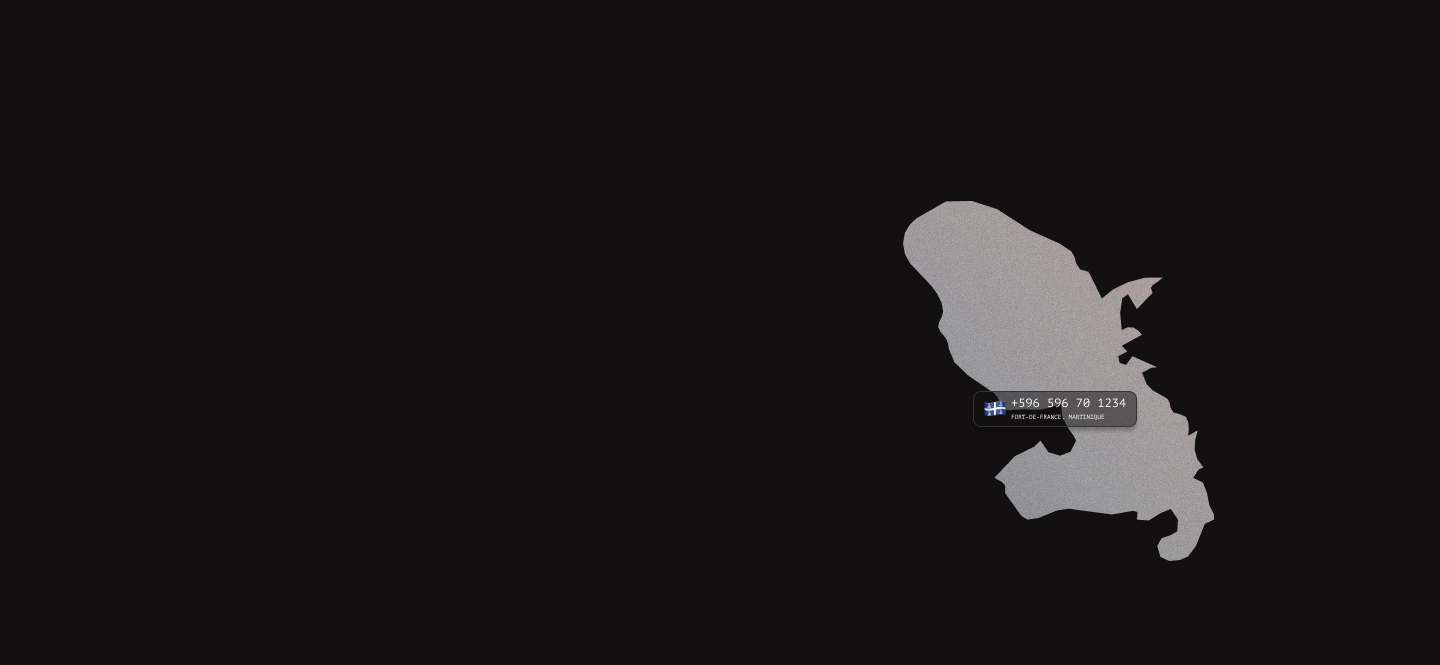 Martinique virtual phone numbers